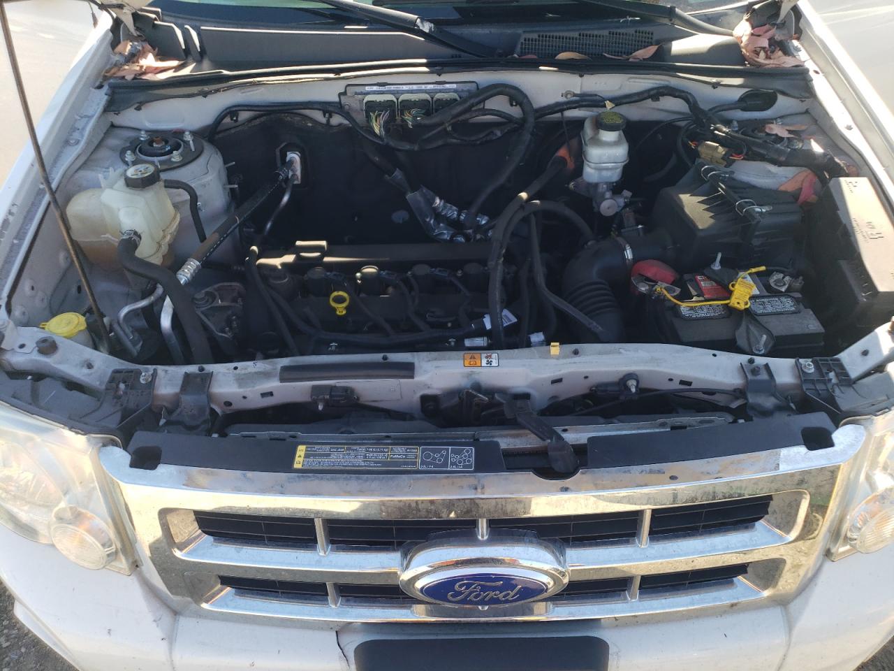 2011 Ford Escape Xlt VIN: 1FMCU0D74BKC23590 Lot: 63881954