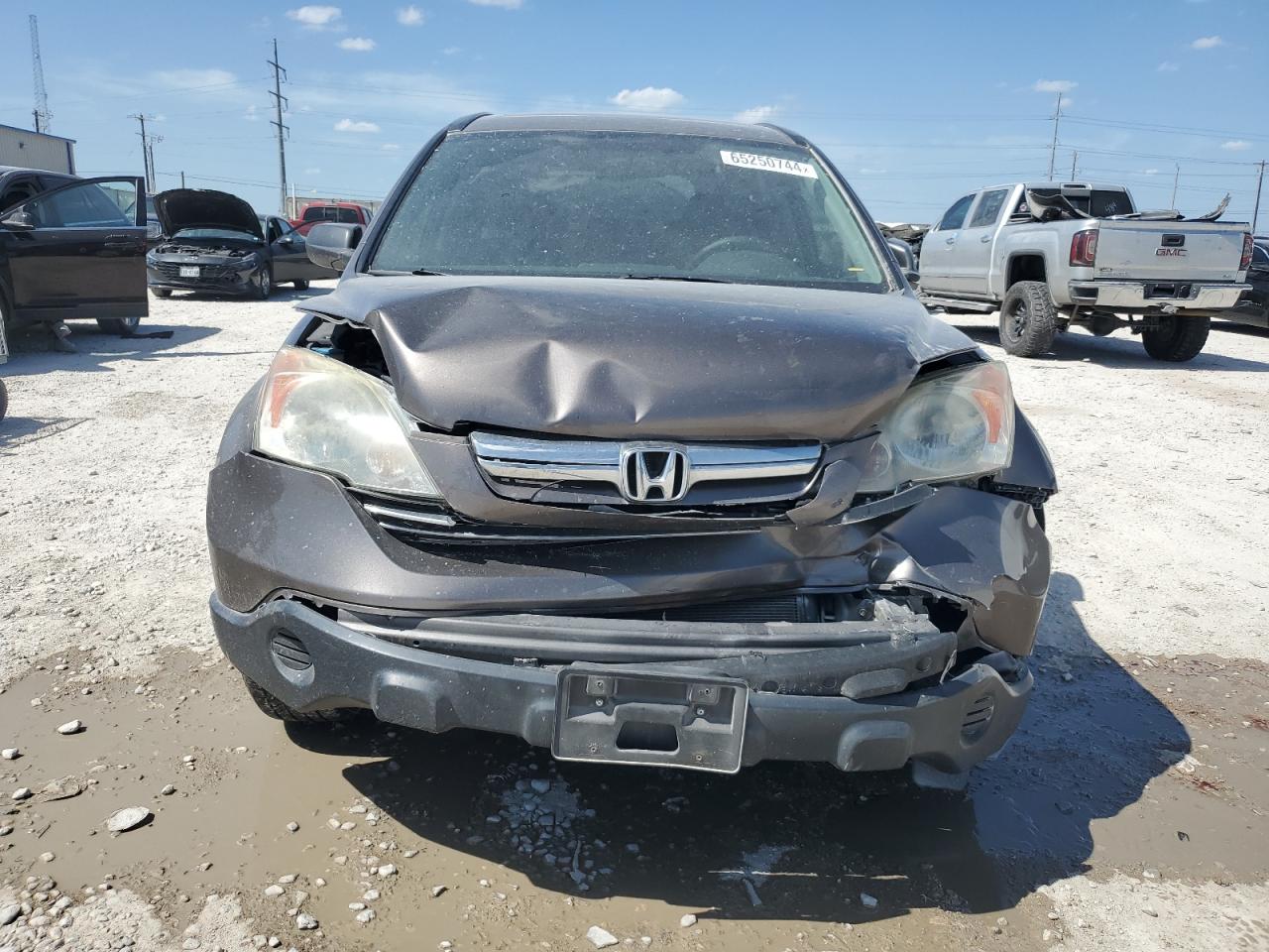 2009 Honda Cr-V Exl VIN: 5J6RE38719L003149 Lot: 65250744