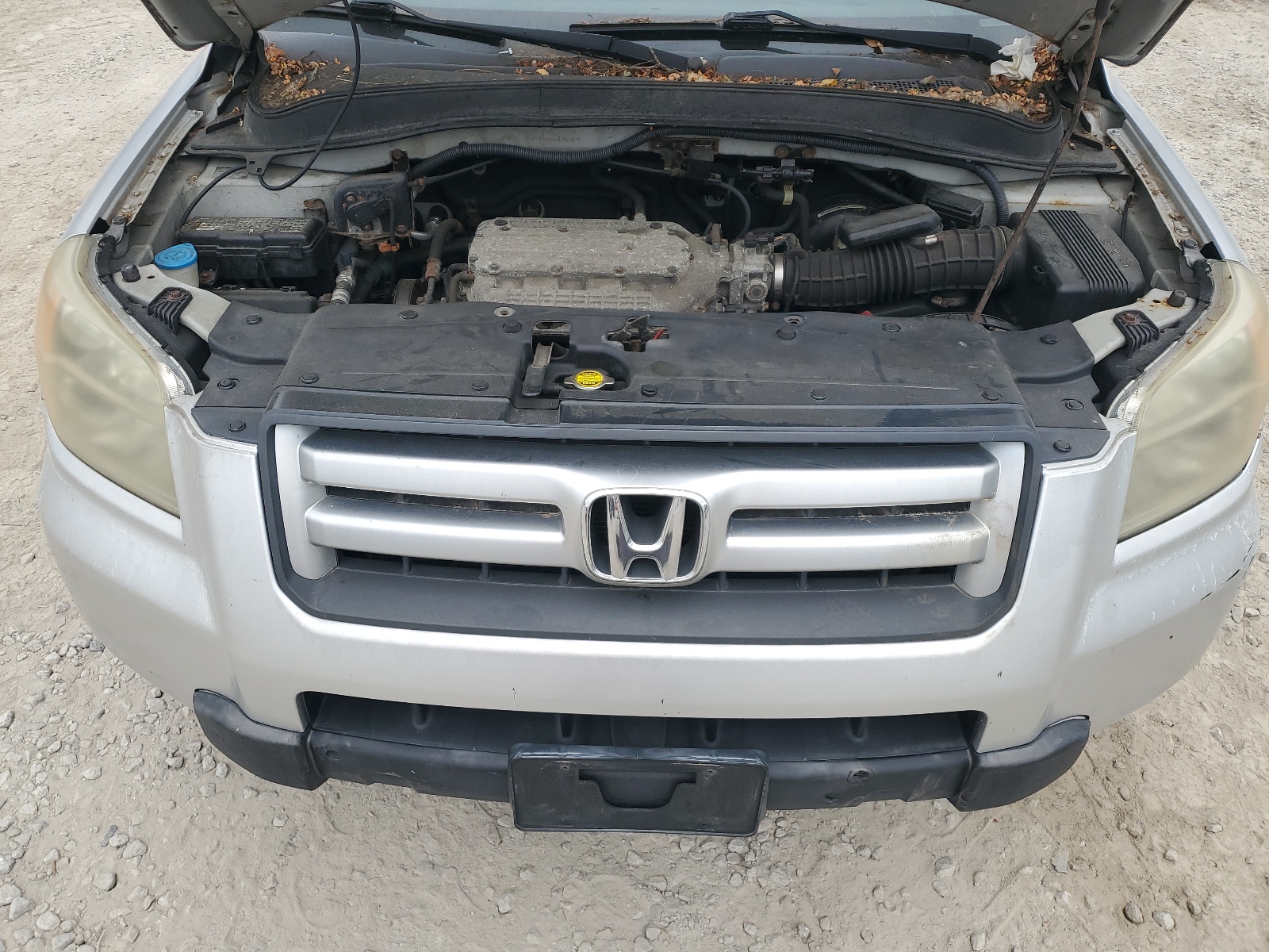 2HKYF18546H549557 2006 Honda Pilot Ex