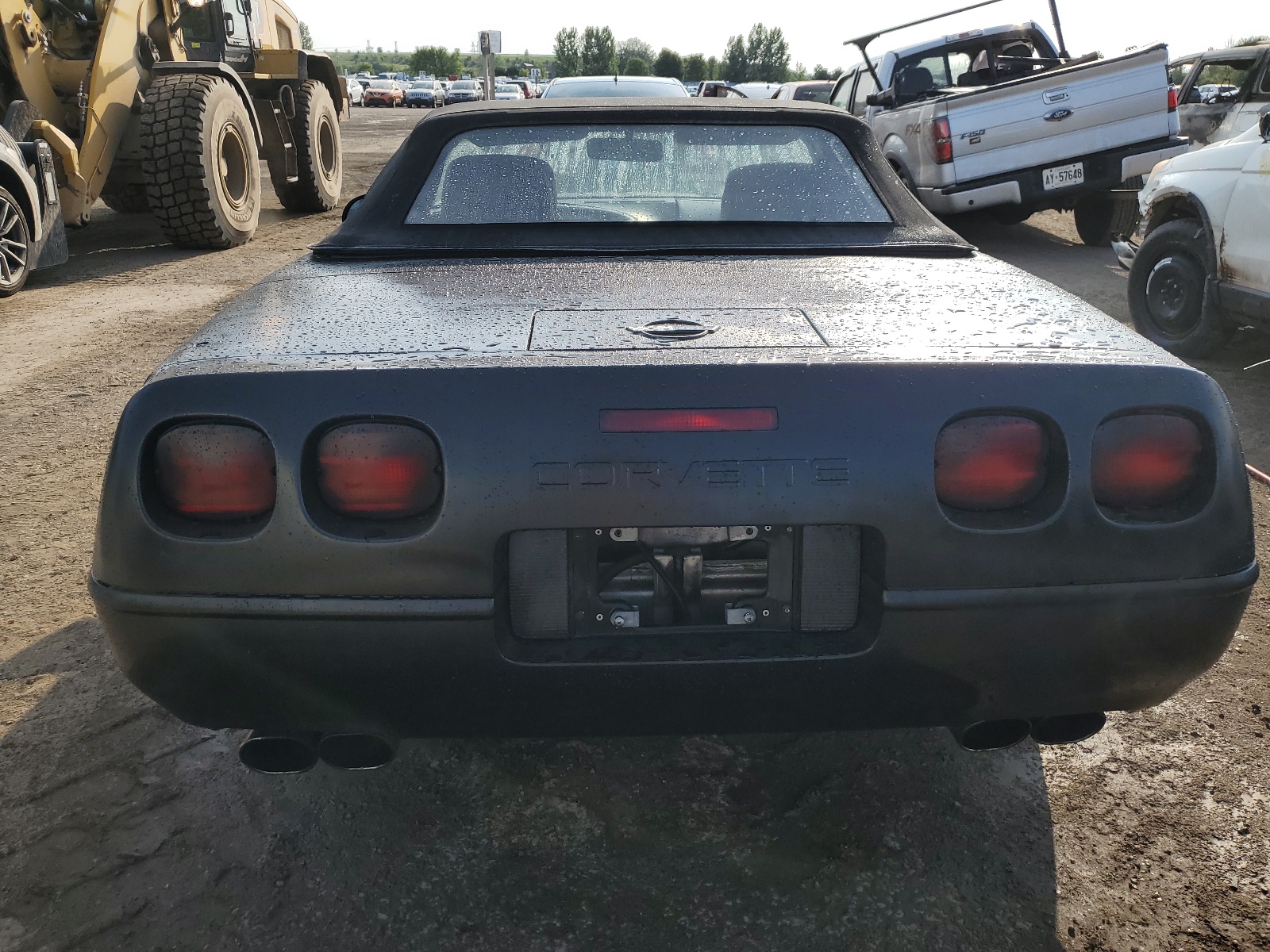 1G1YY338XM5113499 1991 Chevrolet Corvette