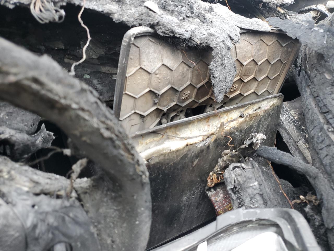 2024 Tesla Model Y VIN: 7SAYGDEE7RF062779 Lot: 58865534