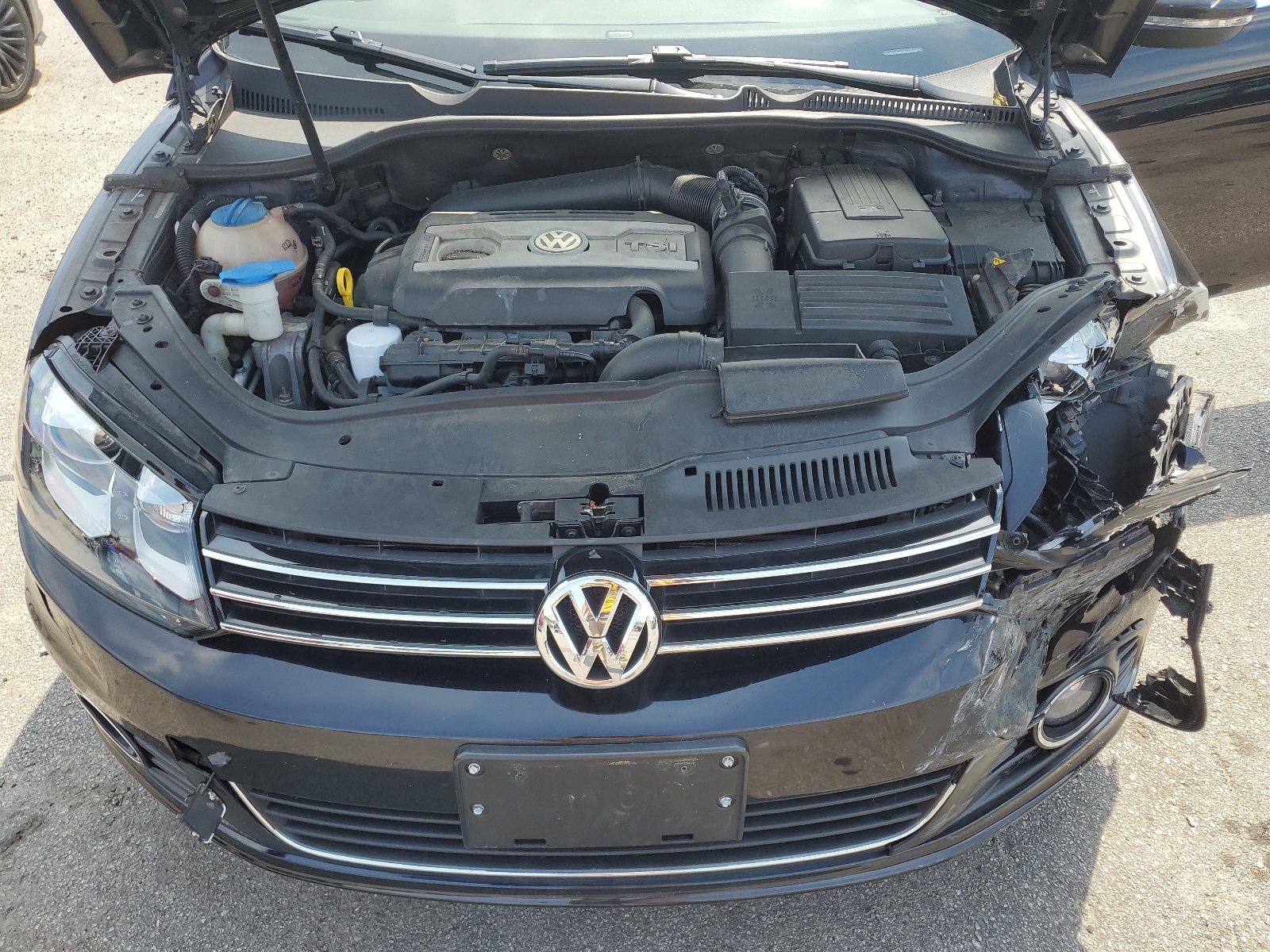 WVWFW8AH0FV000636 2015 Volkswagen Eos Lux