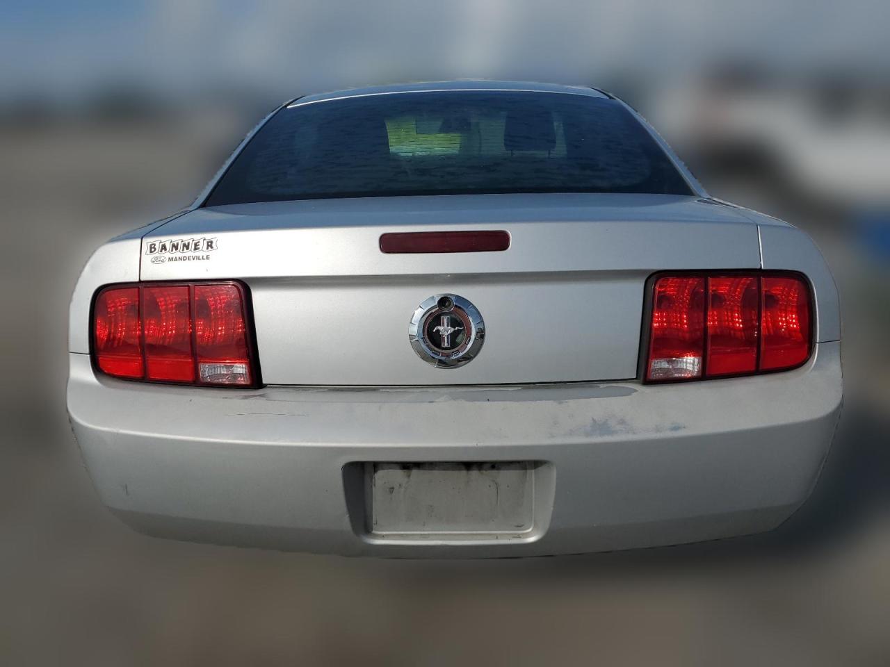 2008 Ford Mustang VIN: 1ZVHT80N485185265 Lot: 64239814