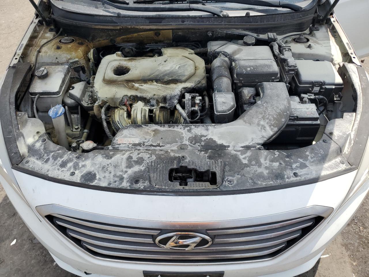 2016 Hyundai Sonata Se VIN: 5NPE24AF6GH310418 Lot: 65059834