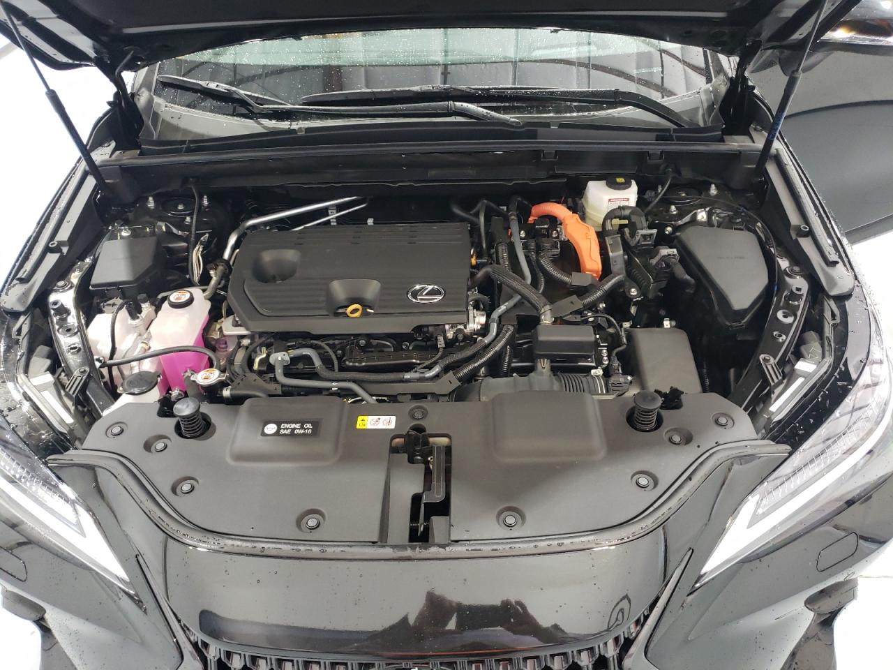 2024 Lexus Nx 350H Base VIN: 2T2HKCEZ1RC031195 Lot: 65116074