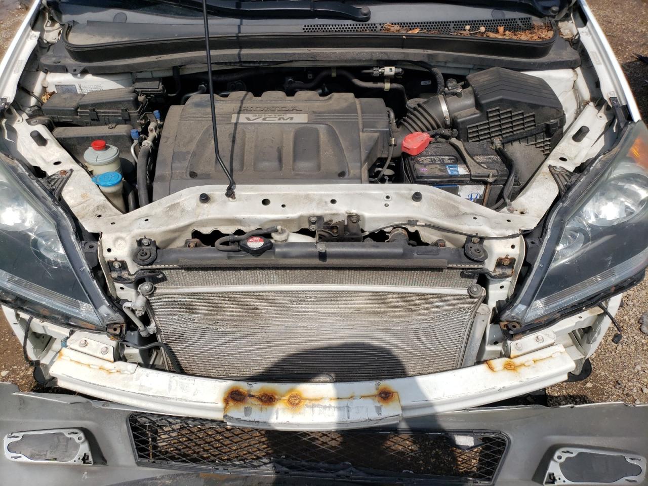 2010 Honda Odyssey Exl VIN: 5FNRL3H68AB033260 Lot: 62657104