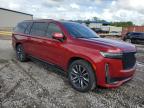 2021 Cadillac Escalade Esv Sport Platinum للبيع في Hueytown، AL - Vandalism