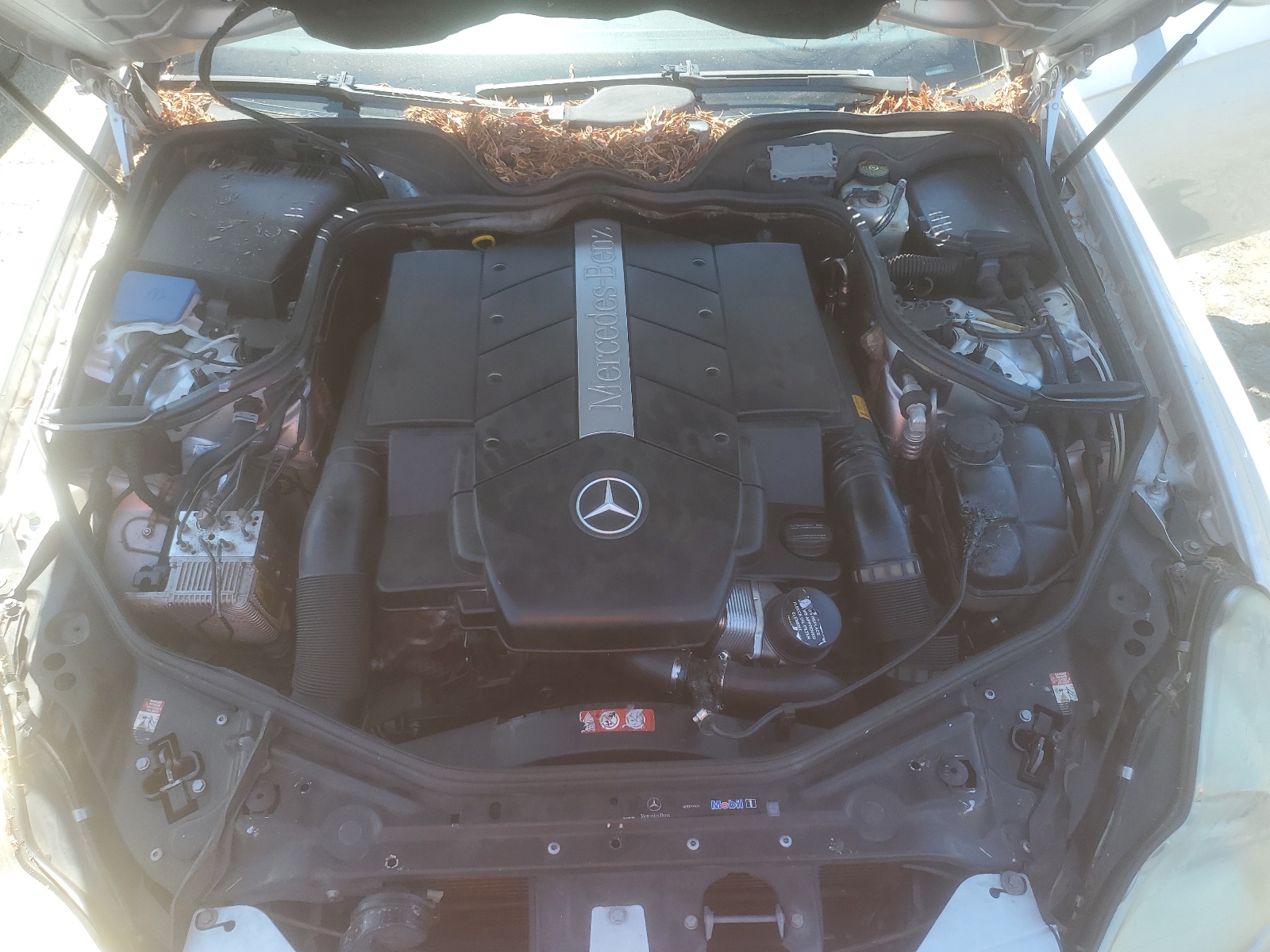 WDDDJ75X96A007812 2006 Mercedes-Benz Cls 500C