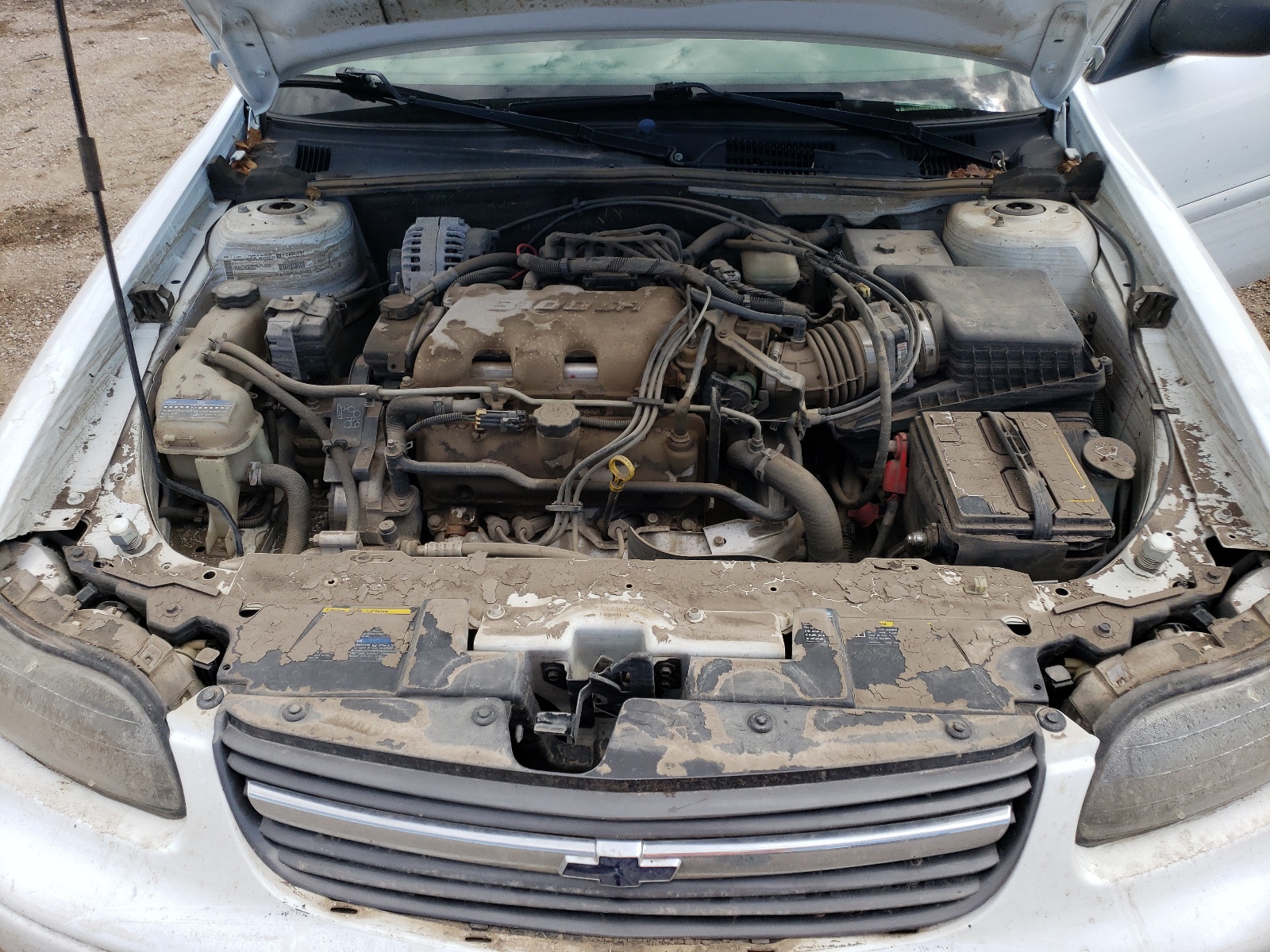 1G1ND52J82M620371 2002 Chevrolet Malibu