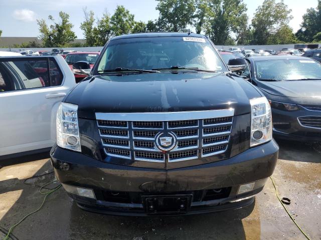 2011 CADILLAC ESCALADE P 1GYS4CEF1BR396895  62562934