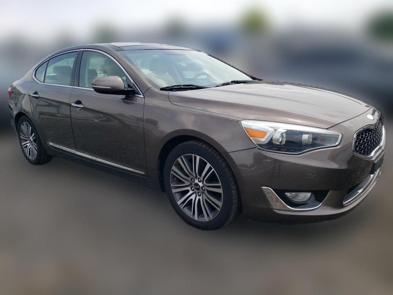 2014 Kia Cadenza Premium VIN: KNALN4D74E5151234 Lot: 63960554