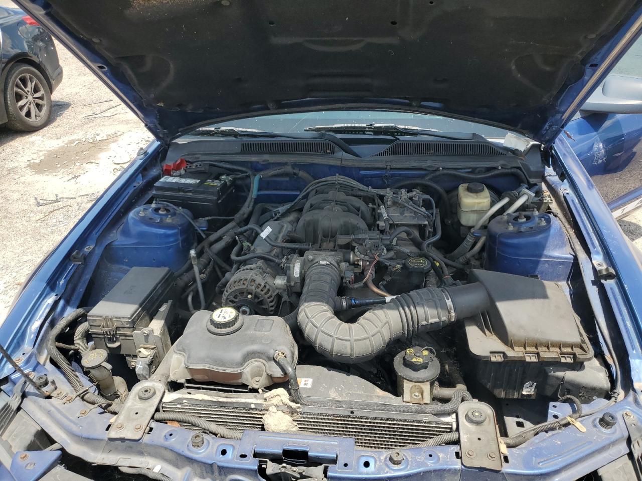 2007 Ford Mustang VIN: 1ZVFT80N375273794 Lot: 65074354