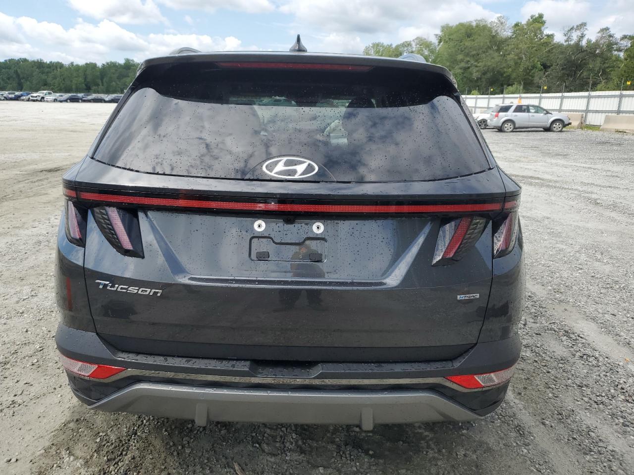 2022 Hyundai Tucson Limited VIN: 5NMJECAE6NH149974 Lot: 66393234