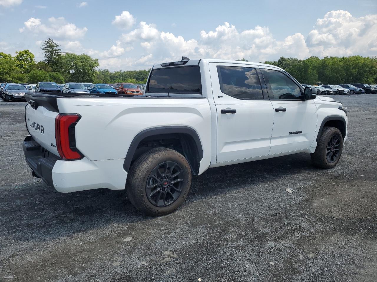 2022 Toyota Tundra Crewmax Sr/Crewmax Sr5 VIN: 5TFLA5DB9NX044189 Lot: 40551294