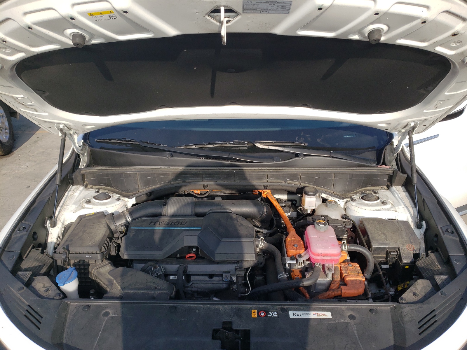 KNDRG4LG1N5124954 2022 Kia Sorento S