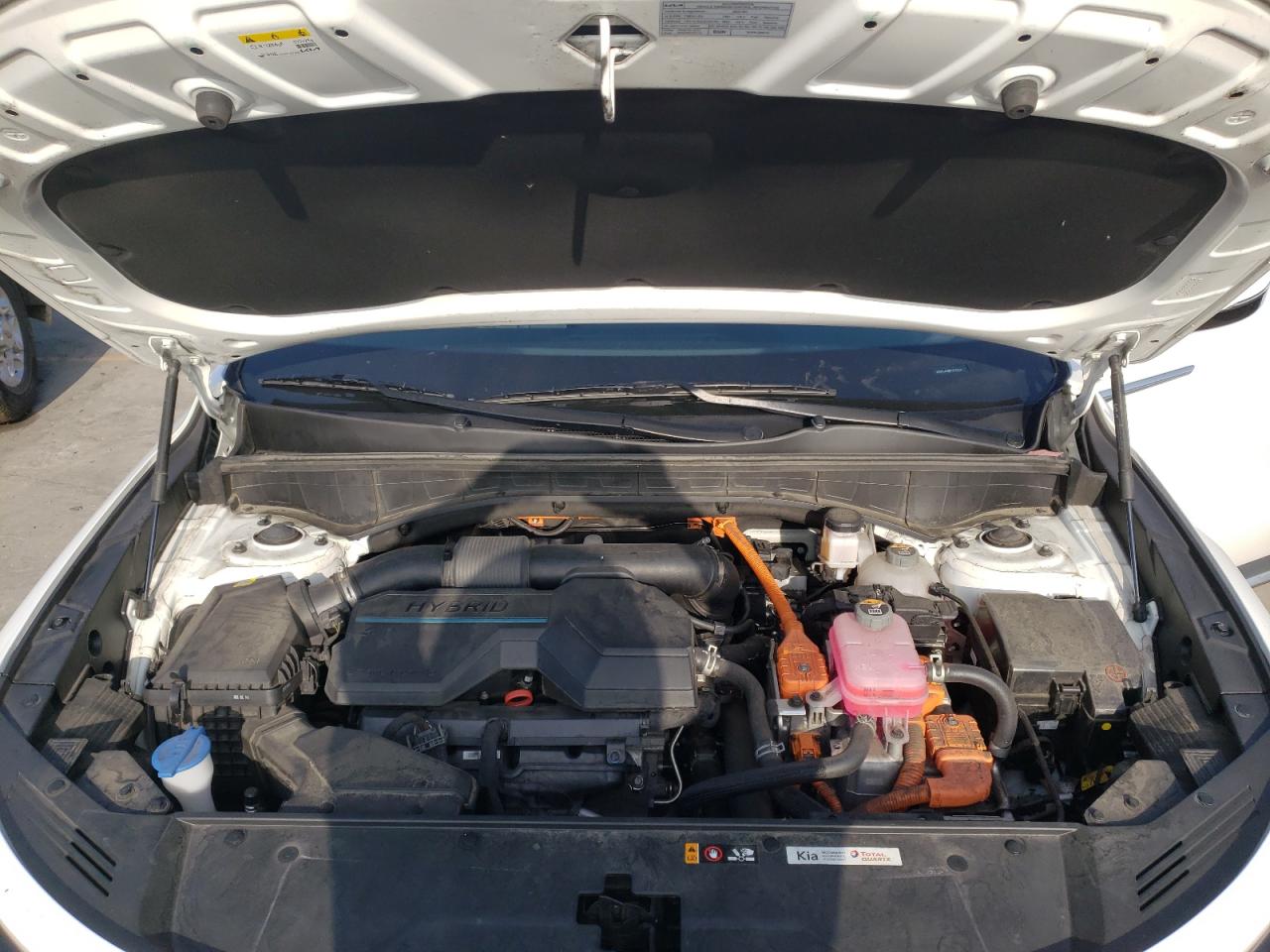 2022 Kia Sorento S VIN: KNDRG4LG1N5124954 Lot: 63927254