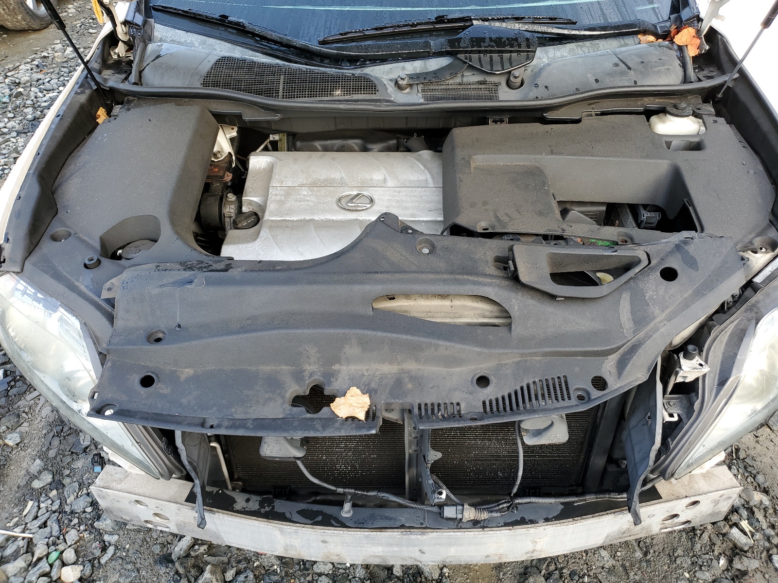 2T2BK1BA7CC125890 2012 Lexus Rx 350