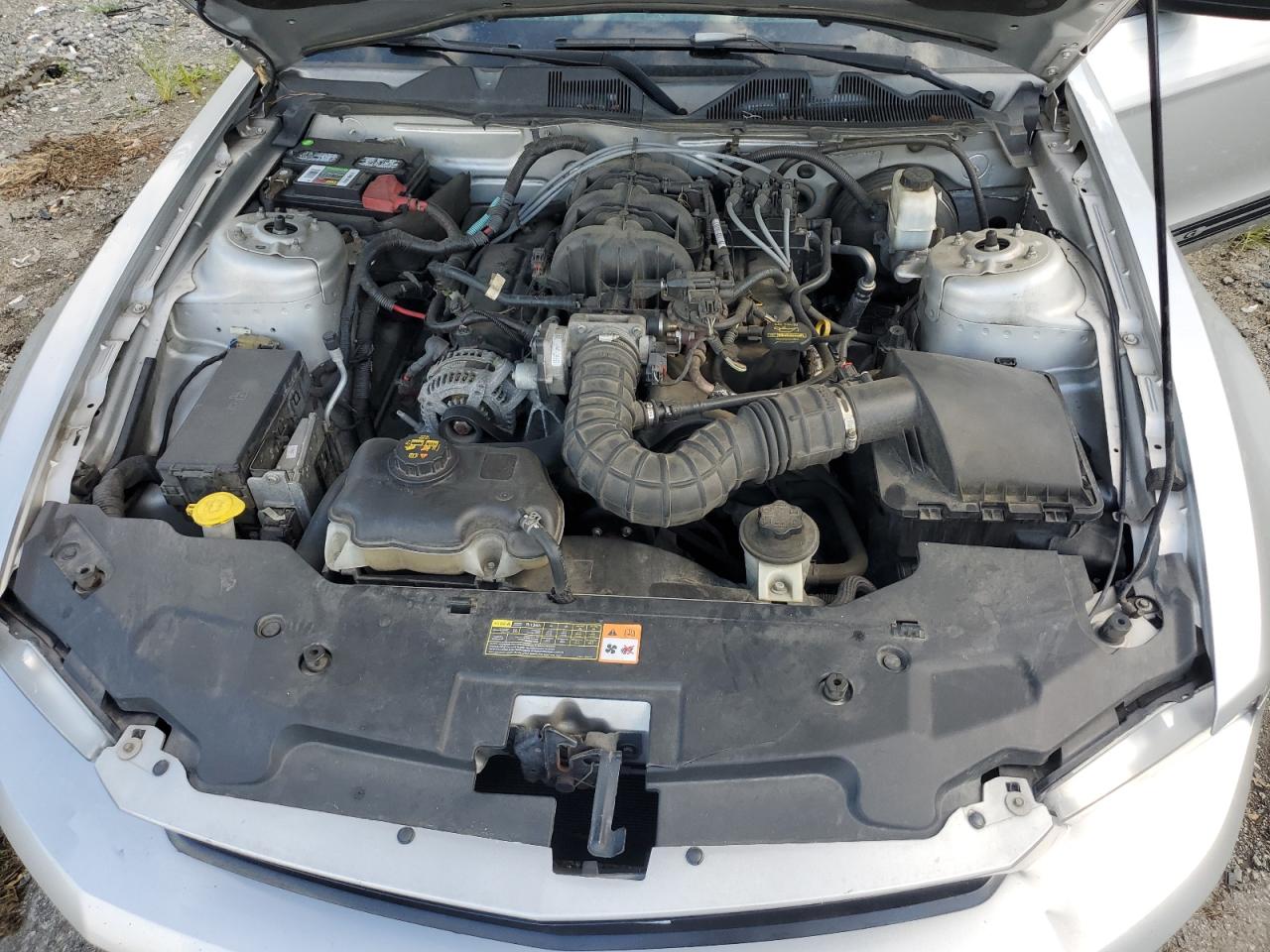 2010 Ford Mustang VIN: 1ZVBP8EN8A5150009 Lot: 64247994