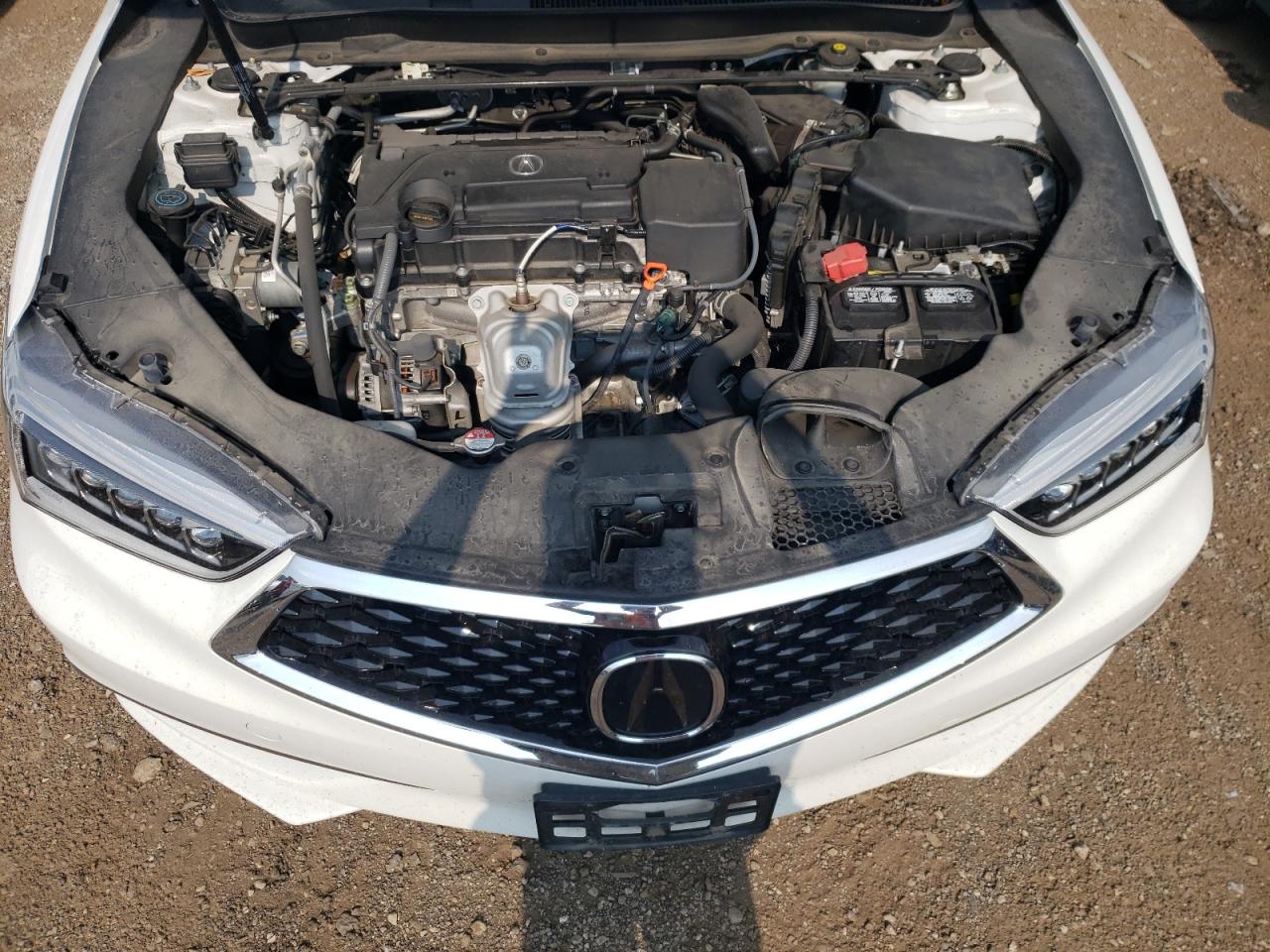 19UUB1F31LA000656 2020 Acura Tlx