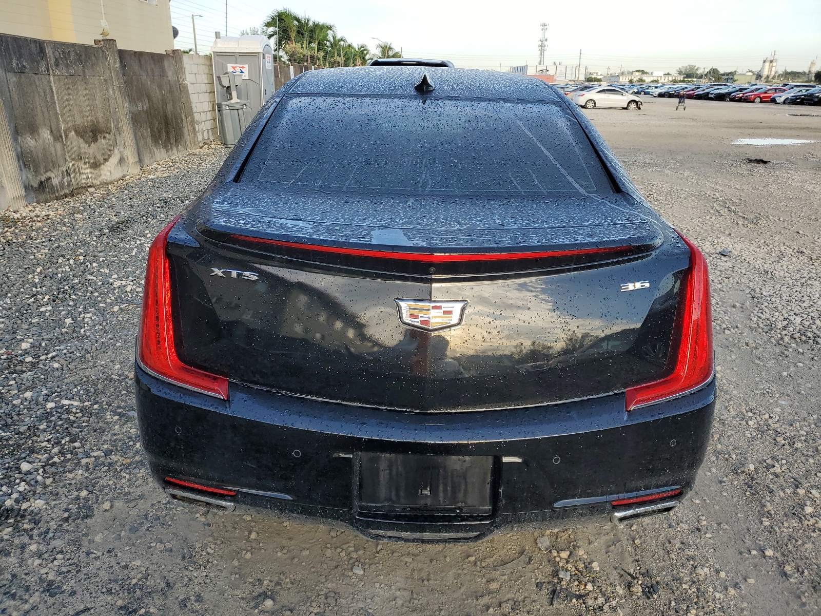 2G61M553XK9151601 2019 Cadillac Xts