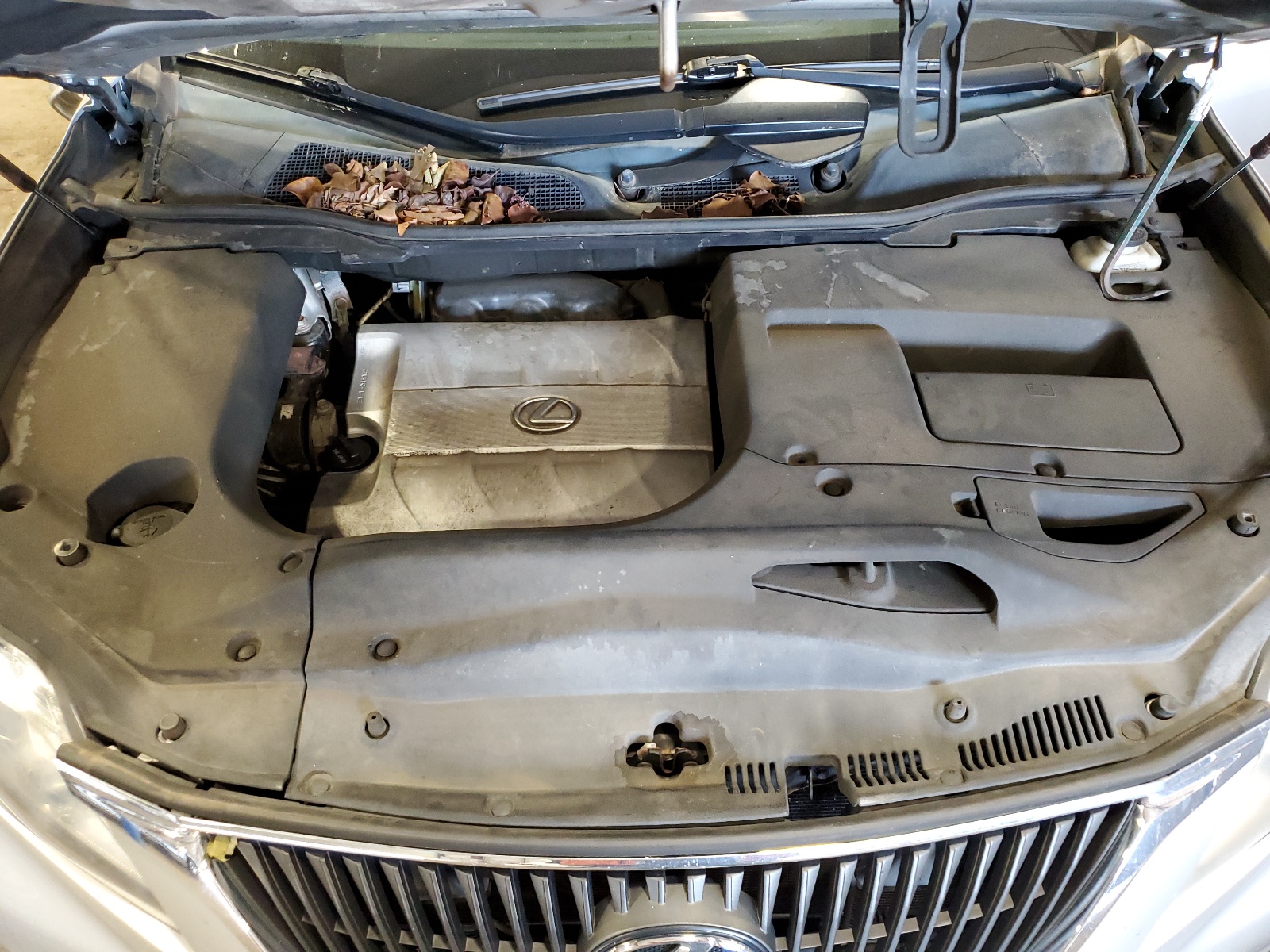 2T2BK1BA5AC031214 2010 Lexus Rx 350