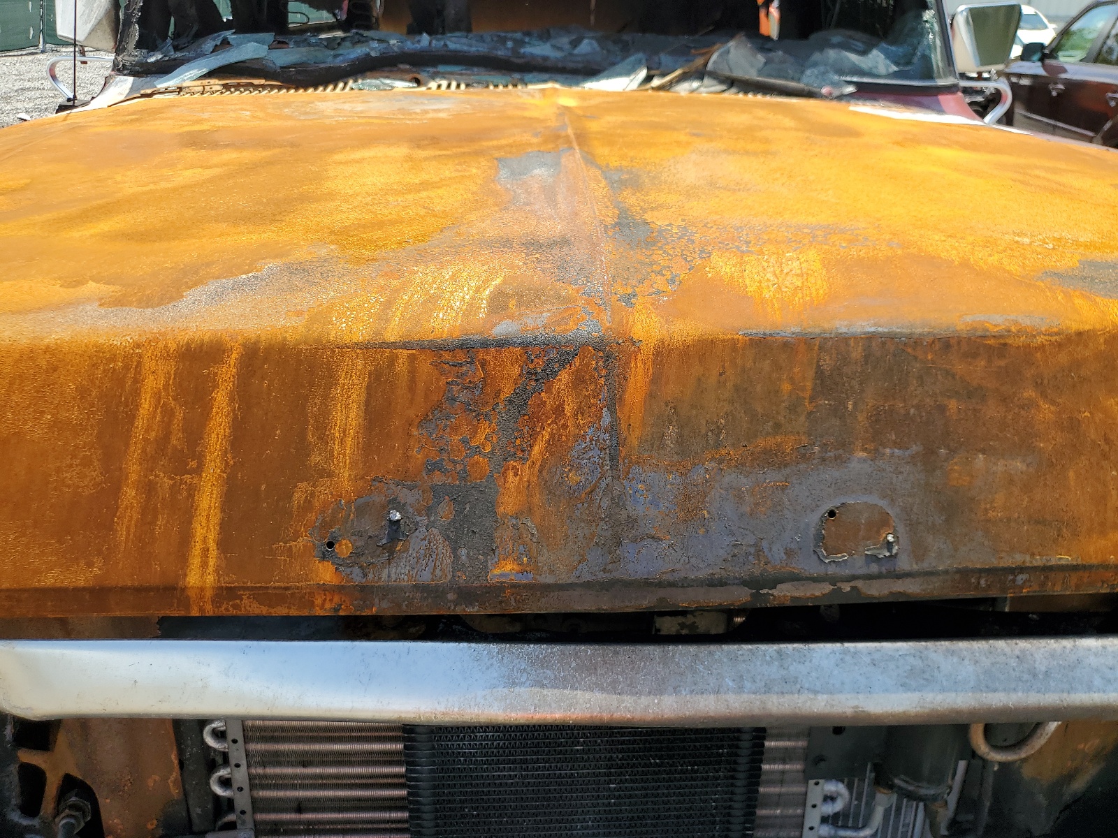 U15HLBA9023 1978 Ford Bronco