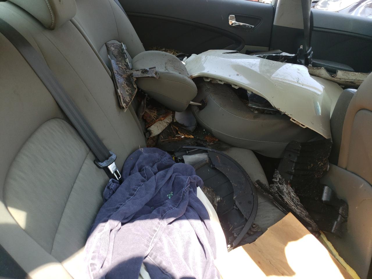 2015 Kia Forte Lx VIN: KNAFK4A67F5400631 Lot: 62552154