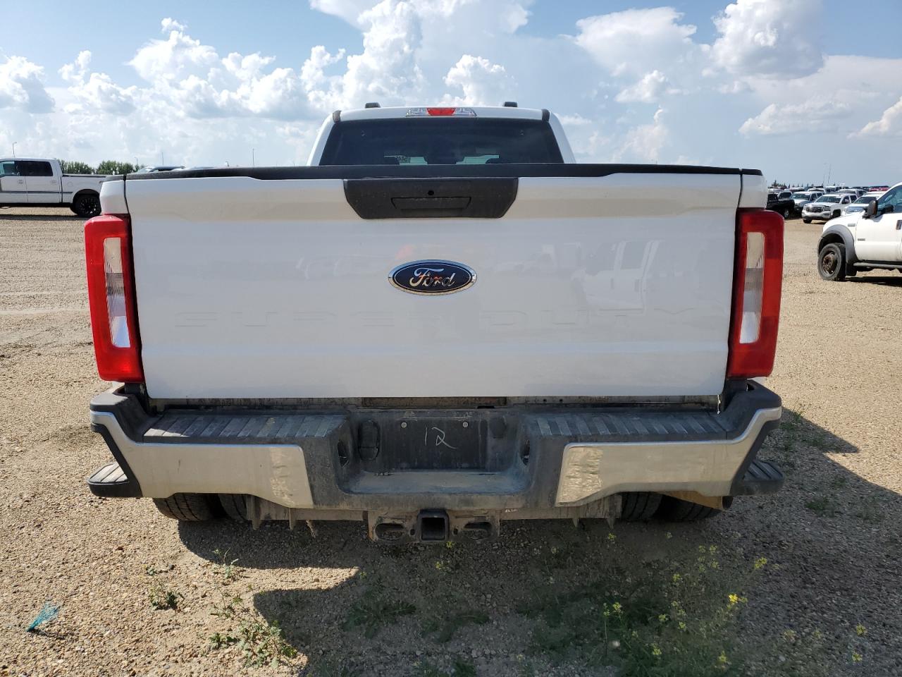 2023 Ford F350 Super Duty VIN: 1FT8W3DN2PEC47476 Lot: 54452294