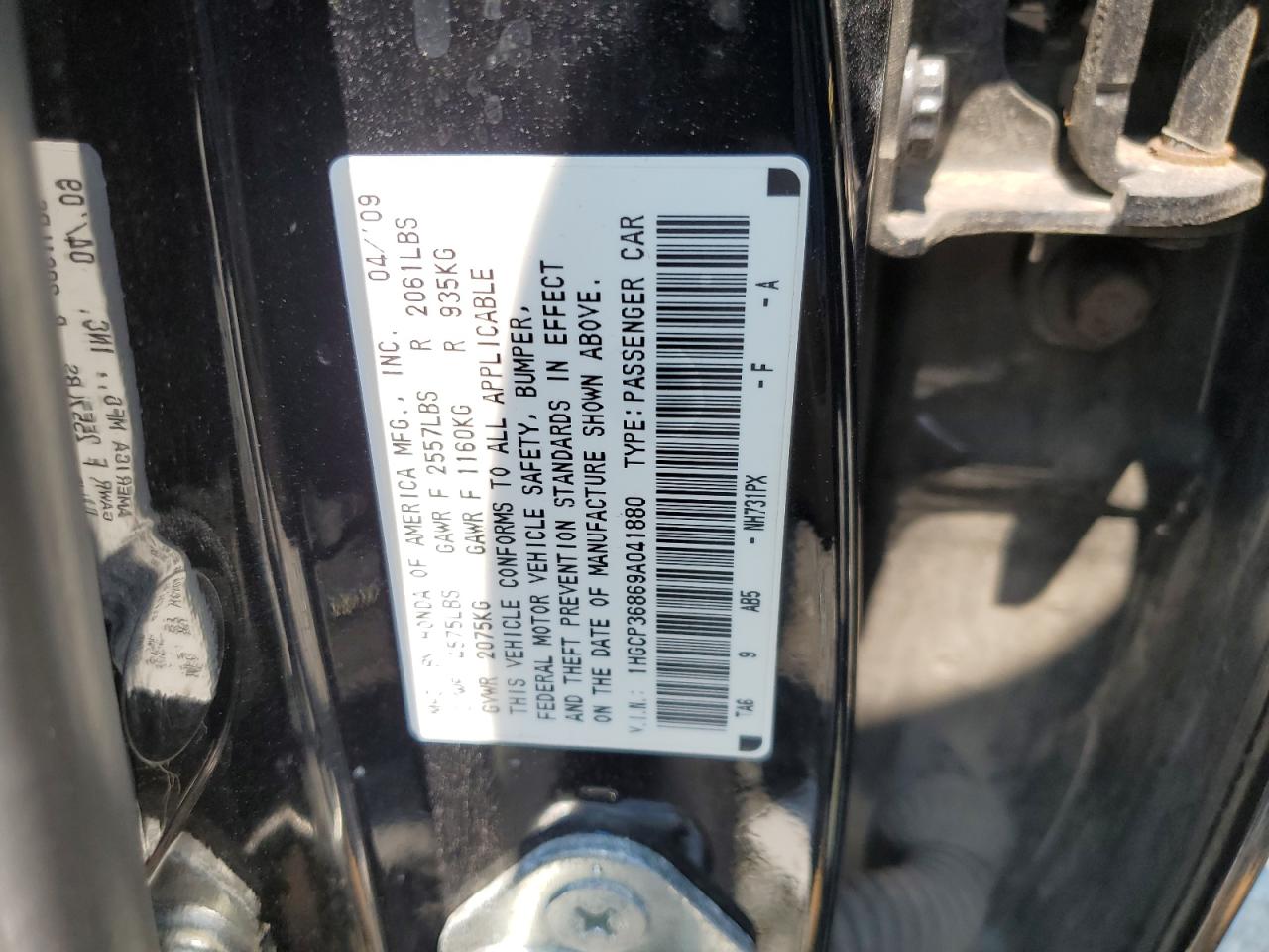 2009 Honda Accord Exl VIN: 1HGCP36869A041880 Lot: 63114854