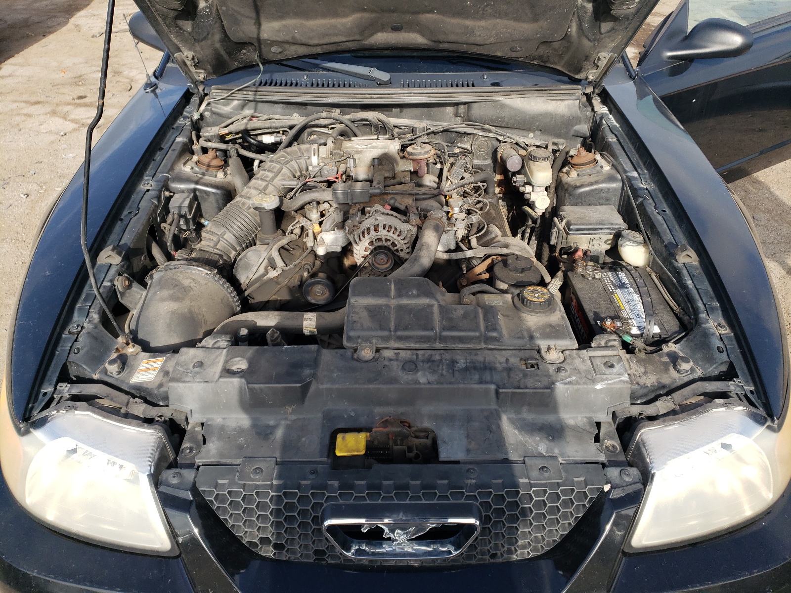 1FAFP45X1YF263339 2000 Ford Mustang Gt