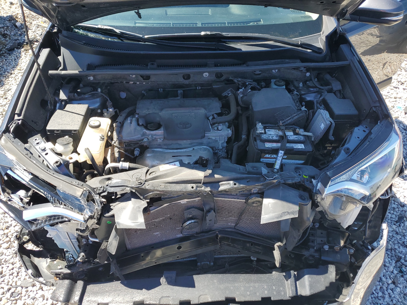 JTMRFREV0HD202436 2017 Toyota Rav4 Xle