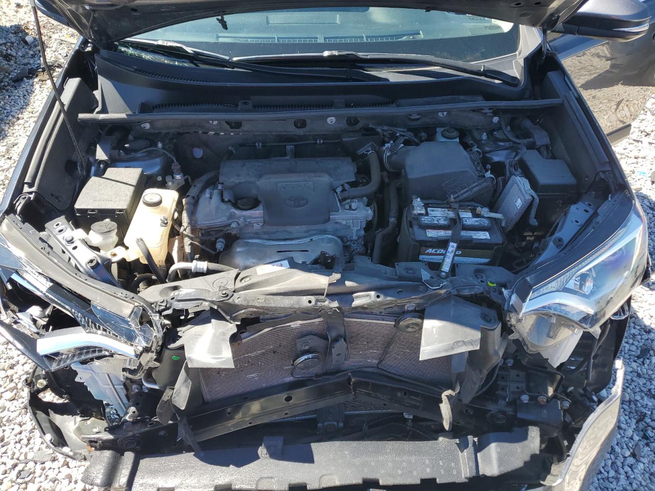 2017 Toyota Rav4 Xle VIN: JTMRFREV0HD202436 Lot: 61319574