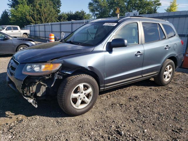 2007 Hyundai Santa Fe Gls