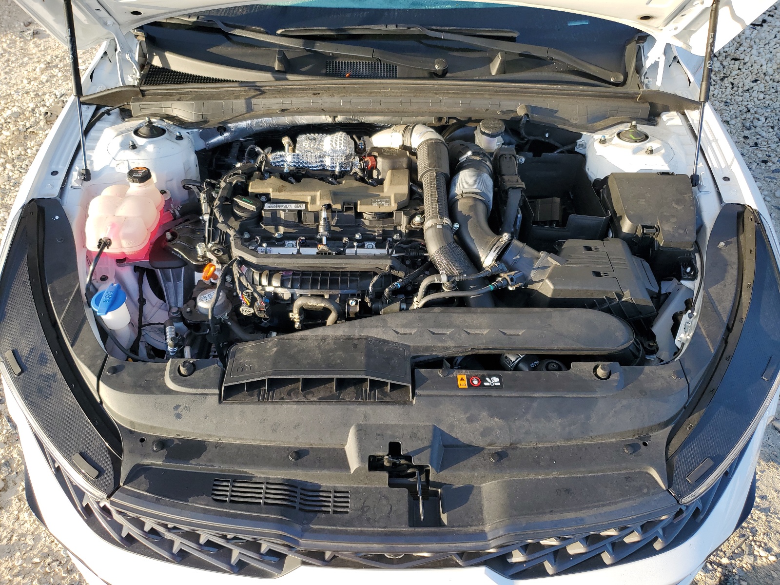 5XXG44J89PG213391 2023 Kia K5 Gt