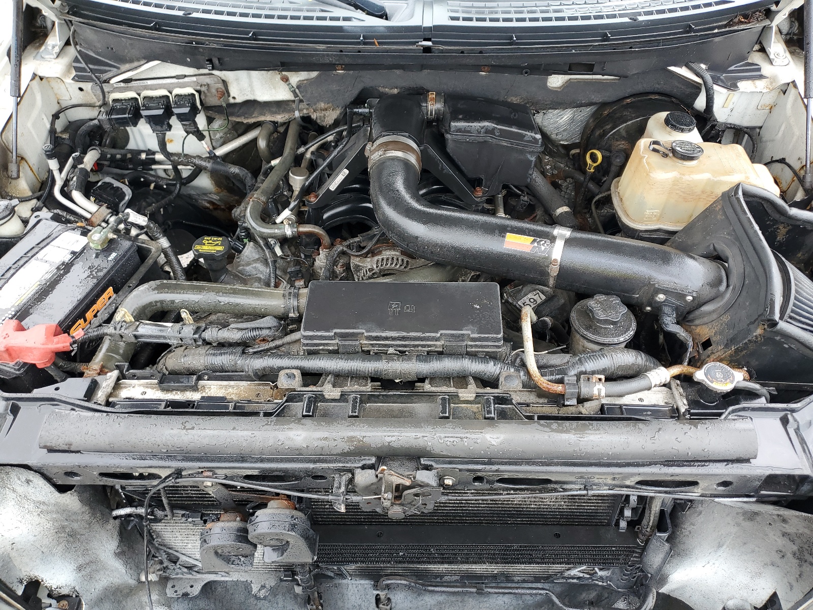 1FTPW14V59KB22542 2009 Ford F150 Supercrew