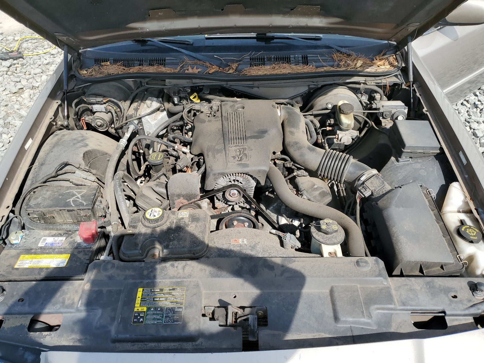 2MEHM75W84X606486 2004 Mercury Grand Marquis Ls