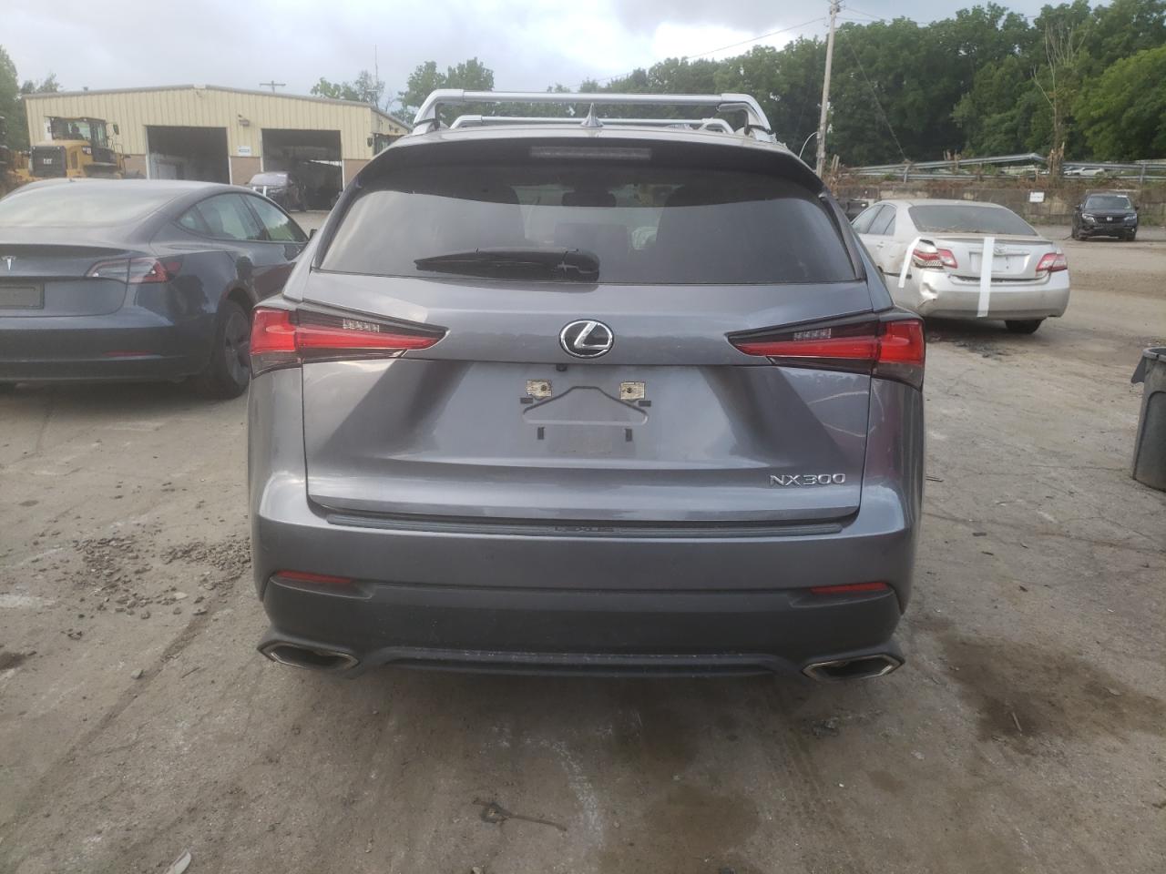 2020 Lexus Nx 300 VIN: JTJDARDZ4L5011888 Lot: 64503154