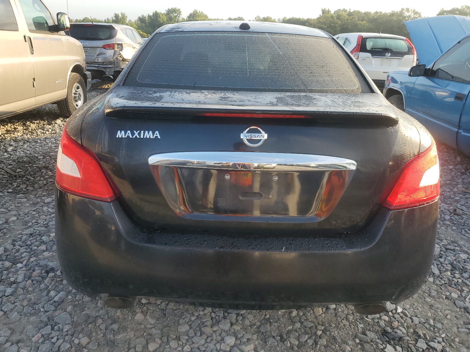 1N4AA51E89C846239 2009 Nissan Maxima S