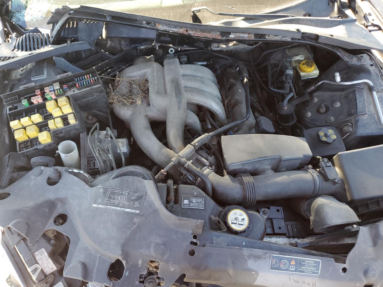 2003 Jaguar S-Type VIN: SAJEA01T83FM92422 Lot: 61412084