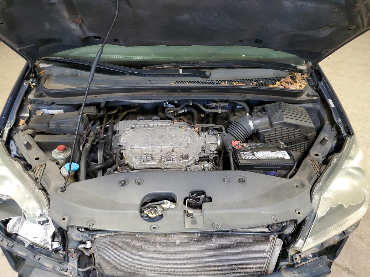 2007 Honda Odyssey Exl VIN: 5FNRL38727B122906 Lot: 61123904