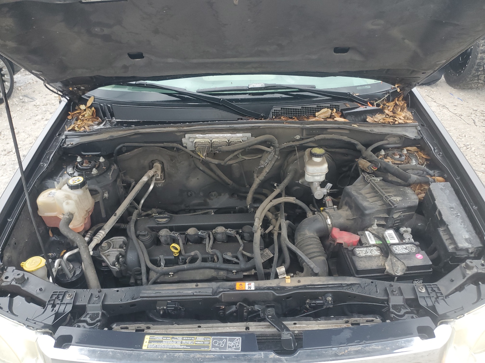 1FMCU0C71CKB03541 2012 Ford Escape Xls