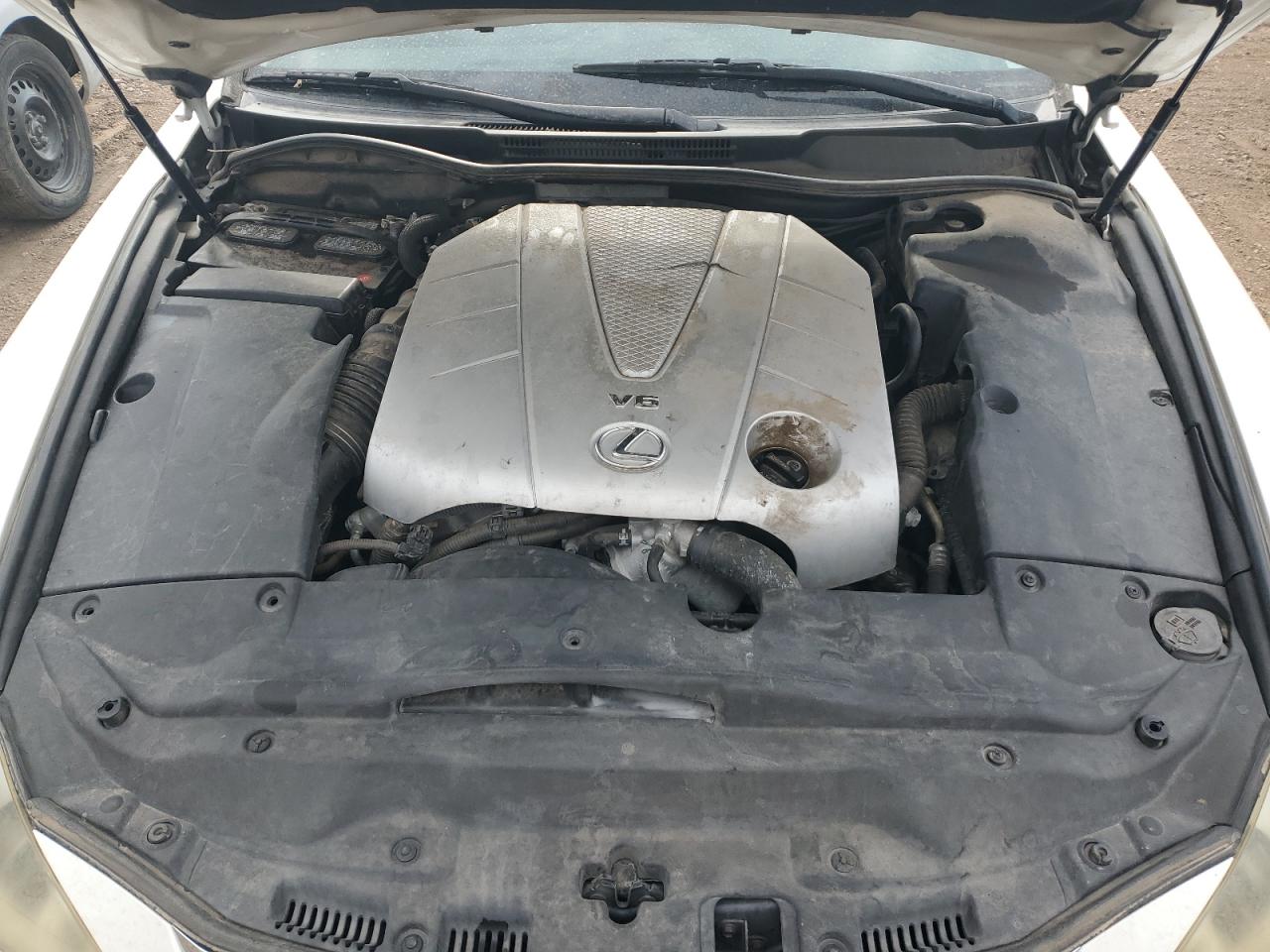 2006 Lexus Is 350 VIN: JTHBE262365004942 Lot: 63933294