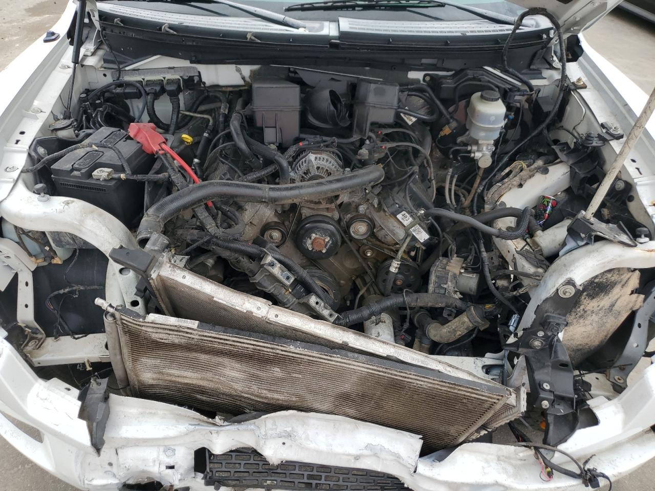 2013 Ford F150 Svt Raptor VIN: 1FTFW1R61DFB09897 Lot: 62761954