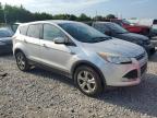 2013 Ford Escape Se for Sale in Memphis, TN - Minor Dent/Scratches