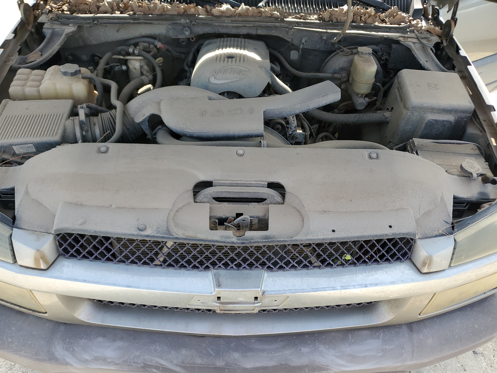 3GNEC13T52G108788 2002 Chevrolet Avalanche C1500