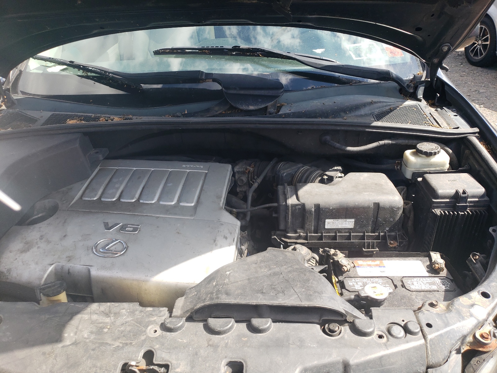 2T2HK31U89C117193 2009 Lexus Rx 350