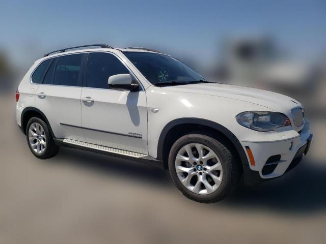 Паркетники BMW X5 2013 Белый