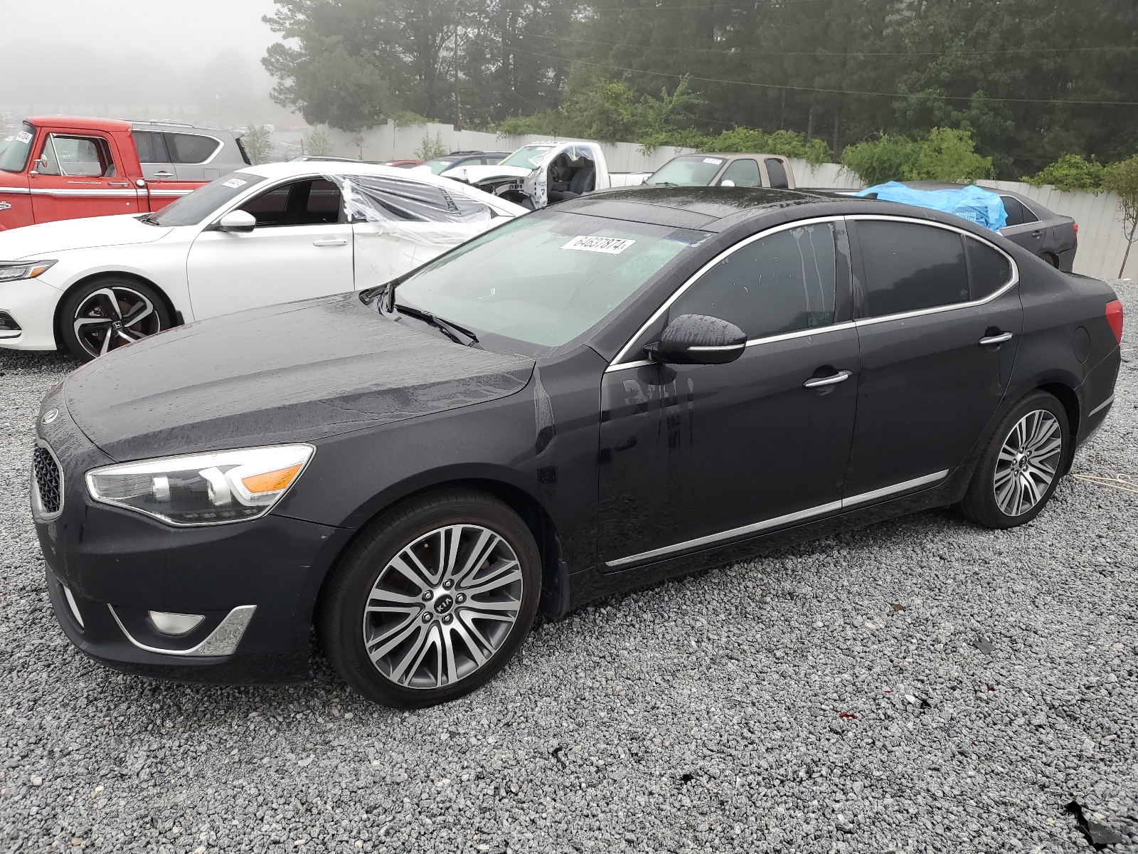 2014 Kia Cadenza Premium vin: KNALN4D78E5139040