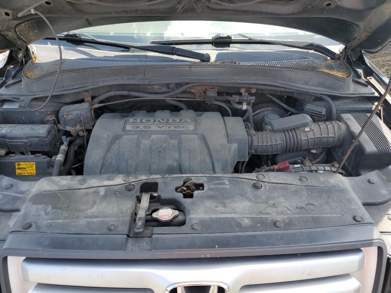 2006 Honda Pilot Ex VIN: 5FNYF18666B017251 Lot: 61223434