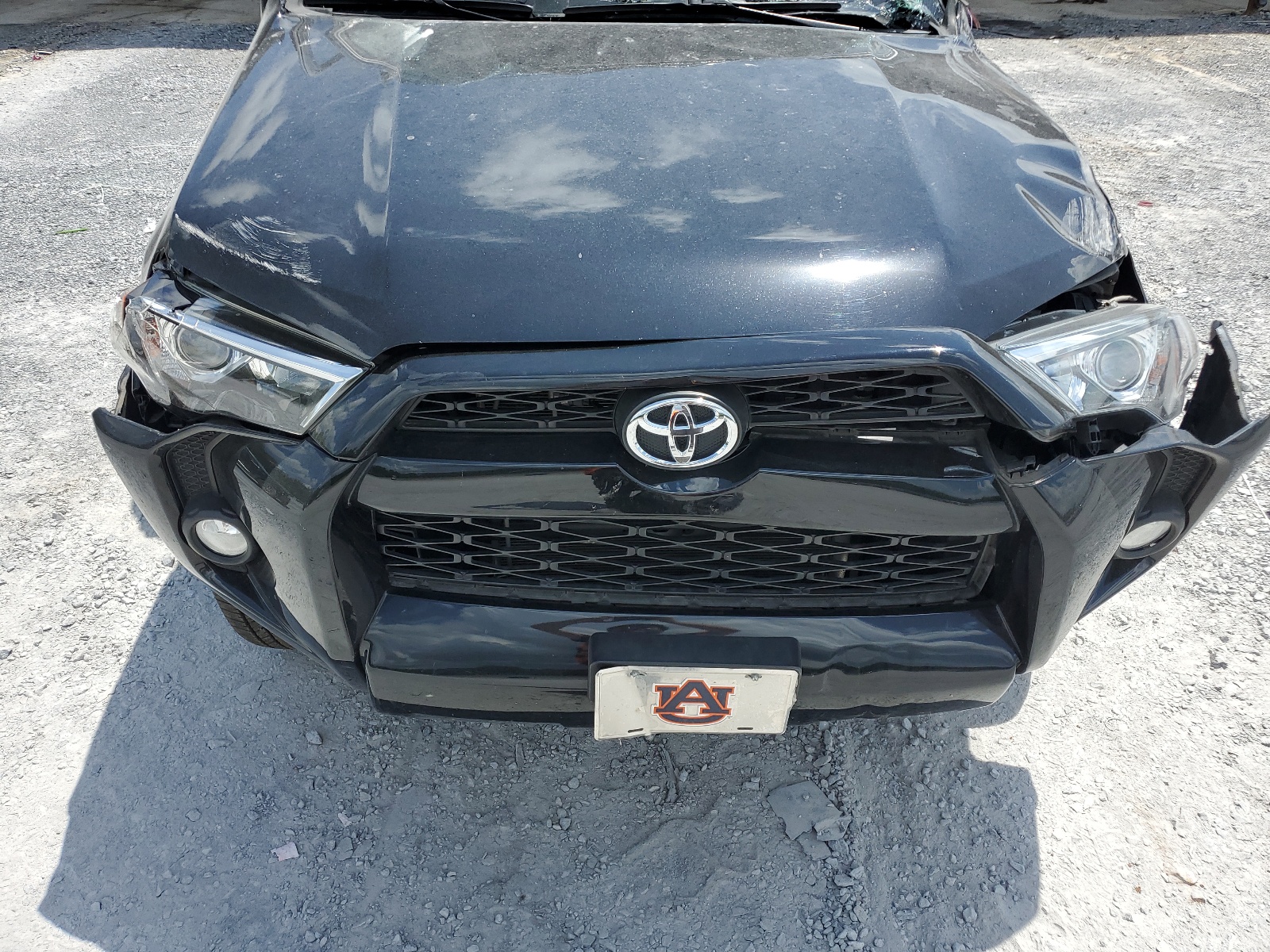 JTEBU5JR1K5667085 2019 Toyota 4Runner Sr5